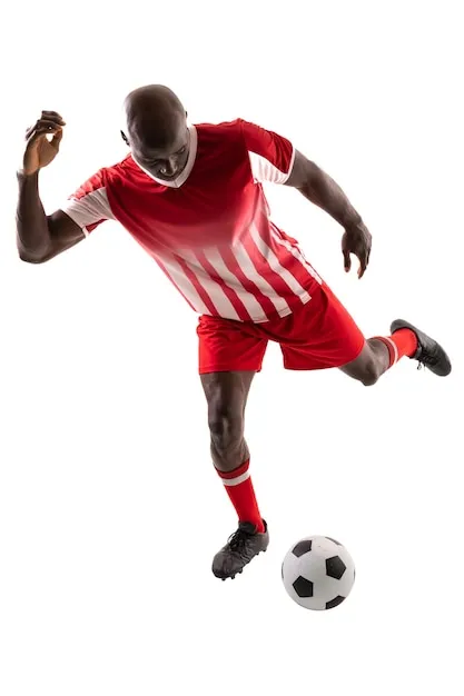 帮助中心 - 半岛体育官方APP